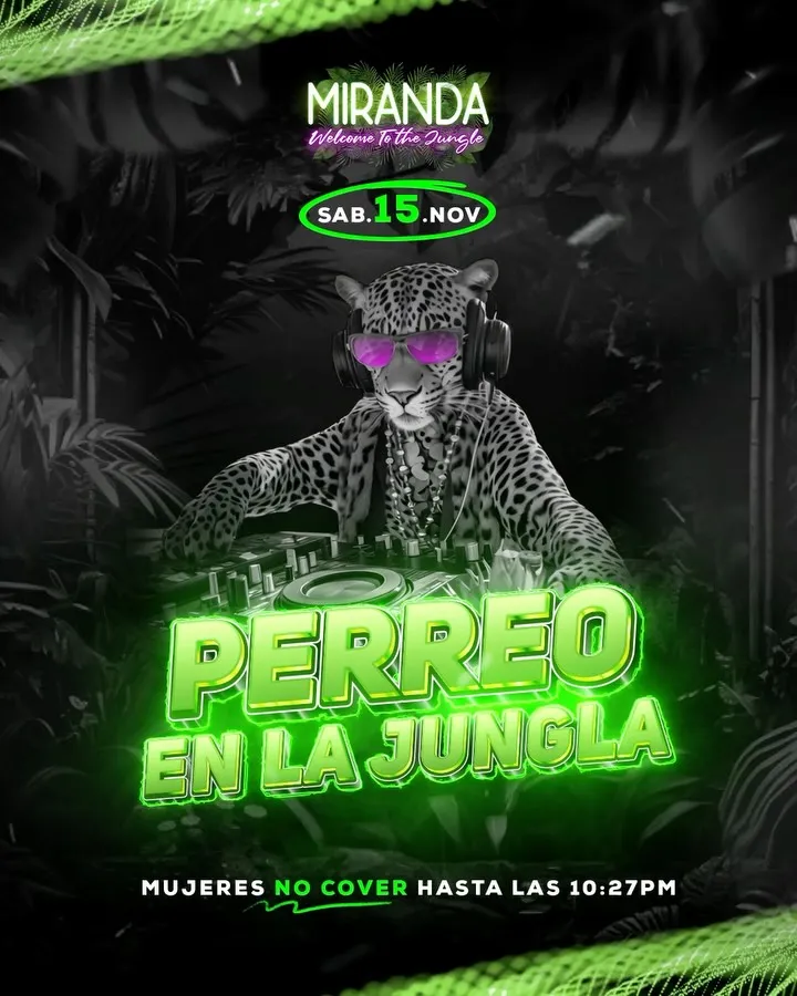 SaveClip.App_580286224_18313987684222789_2899694051329384145_n