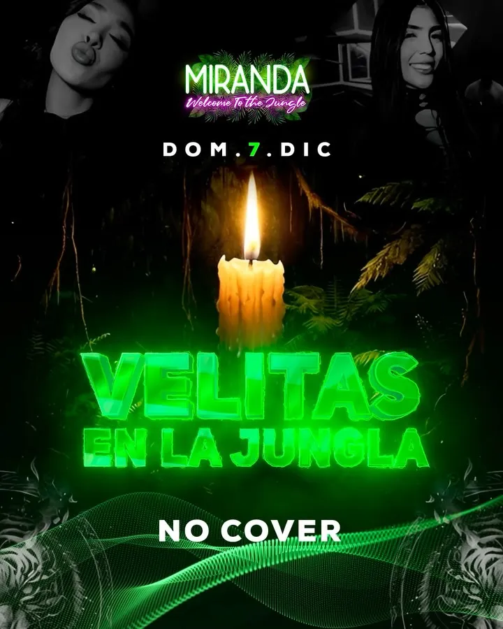 VELITAS EN LA JUNGLA