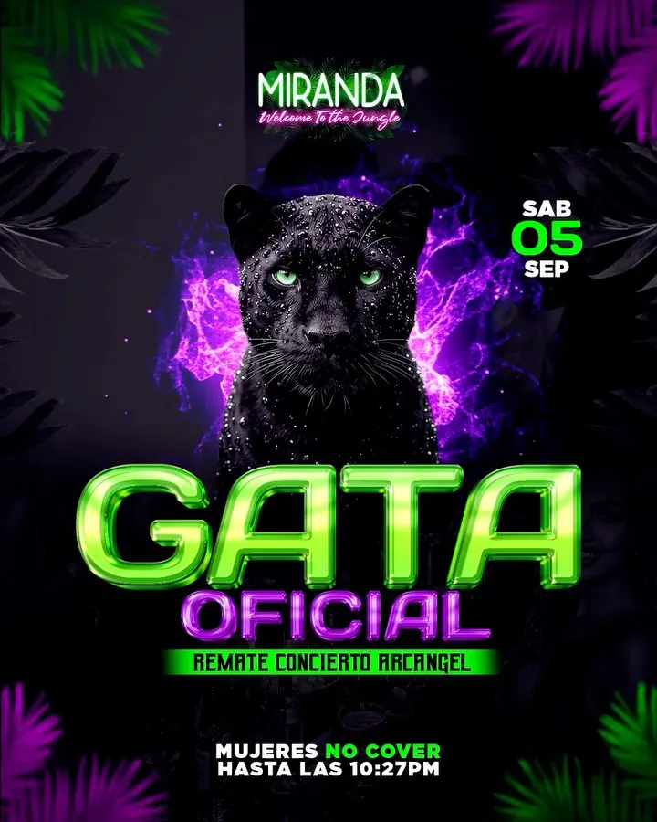 Gata oficial Miranda